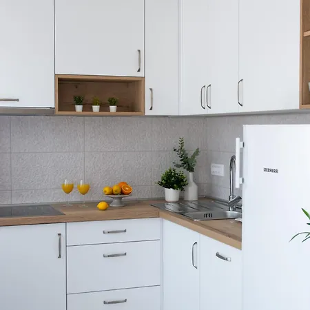Apartment Srnec -